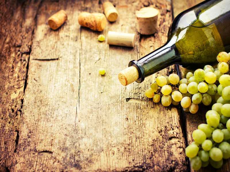 Weinprobe in Kachetien